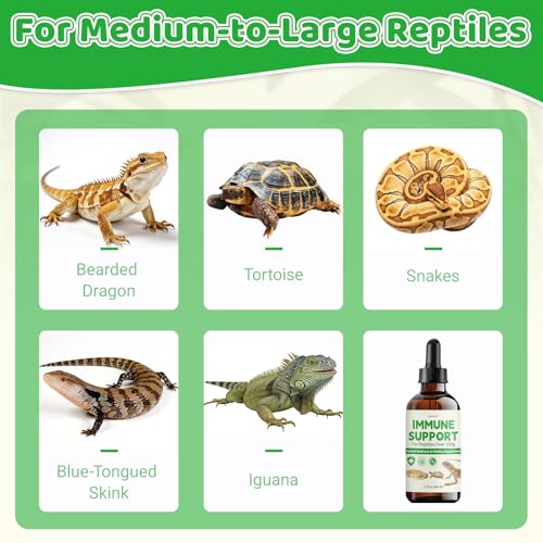 Herbal Supplement for Reptiles – Immune, Respiratory, Appetite & Digestion Support – For Bearded Dragon, Ball Python, Iguana & Tortoise – Alcohol-Free Liquid Drops with Black Seed Oil – 2 fl oz