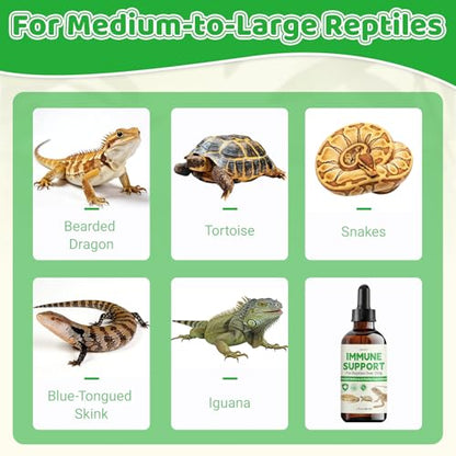 Herbal Supplement for Reptiles – Immune, Respiratory, Appetite & Digestion Support – For Bearded Dragon, Ball Python, Iguana & Tortoise – Alcohol-Free Liquid Drops with Black Seed Oil – 2 fl oz