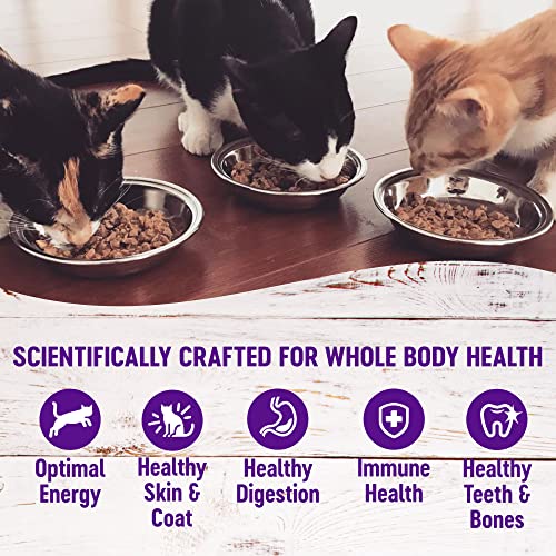 Wellness Healthy Indulgence Morsels Adult Wet Cat Food, Natural, Protein Rich, Grain Free, Chicken Recipe, 3 oz, Pack of 24 Pouches