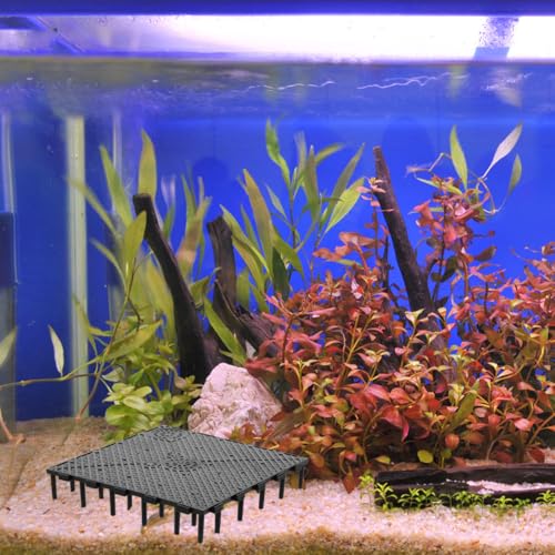ULTECHNOVO Fish Tank Bottom Filter Plate 10 Pcs Aquarium Undergravel Filter Plates Splicing Bottom Board for Substrate Separation Water Flow Fish Breeding 5.90 X 5.90 X 1.06 in