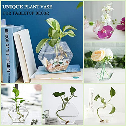 Kingbuy Hexagon Wall Planter Set - 3 Pack Glass Propagation Terrarium Vases with Hanging Mounts for Indoor Plants, Air Plants & Hydroponic Stations Home Office Decor, Plant Lover Gifts (Medium) - size: Medium