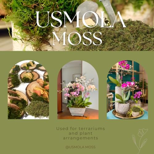 USMOLA Fake Moss for Potted Plants Indoor, 2LBS Large Capacity Artificial Green Moss for DIY Crafts, Faux Moss for Table Centerpieces Fairy Garden Terrariums Decor (32OZ)