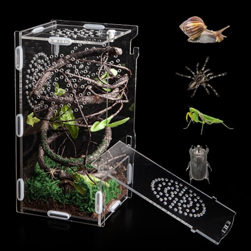 Jumping Spider Enclosure, Acrylic Praying Mantis Habitat, 8"*4"*4" Insect Terrarium, Small Reptile Cage Accessories with Secure Lock for Arboreal Tarantula, Snails, Bug, Lizard - size: Small-8''x4''x4''