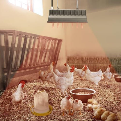 Chicken Coop Heat Lamp for Dog Kennel, Cat Bed, Reptiles & Incubators - 250W Adjustable Heat Lamp with 2 Heat Settings for Poultry, Livestock, and Pets