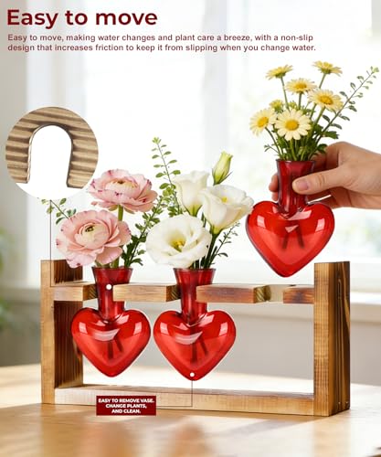 Plant Terrarium with Wooden Stand, 3 Heart Bulb Glass Vases | Wooden Stand Tabletop for Air Planter, Gifts for Mom Plant Lovers Mom Women Wife Grandma - color: Red