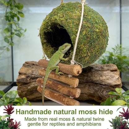 Handmade Moss Reptile Hanging Nest 4 Pcs Set, Large 6″ x 6″ | Gecko Hideout with Ladder, Terrarium Decor for Crested Gecko, Leopard Gecko, Lizard, Small Reptiles & Amphibians - size: Large 6″ x 6″