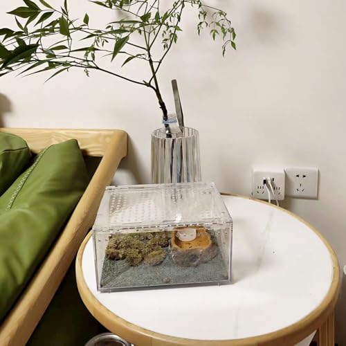 Small Acrylic Reptile Enclosure, No Assembly Small Reptile Breeding Box for Insect Tarantula Hermit Crab Jumping Spider (8x6X4 in) - size: 8x6X4 in
