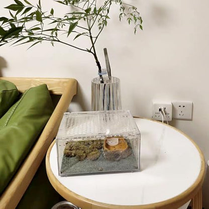 Small Acrylic Reptile Enclosure, No Assembly Small Reptile Breeding Box for Insect Tarantula Hermit Crab Jumping Spider (8x6X4 in) - size: 8x6X4 in