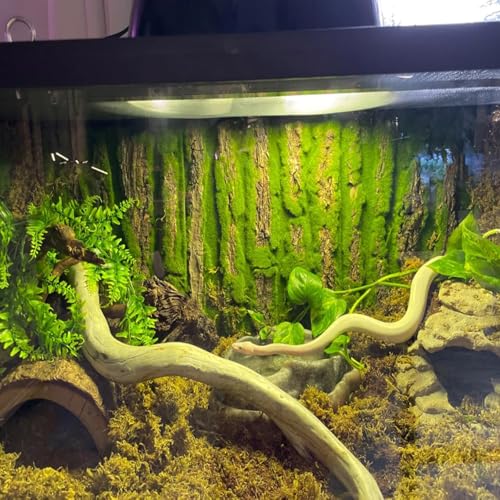 PINVNBY Reptile Terrarium Cork Background, Bearded Dragon Tank Bark Backdrop Wall Decor with Artificial Moss for Gecko Lizard Tortoise Frog Chameleon(4 Pack) - size: 【4 PCS】