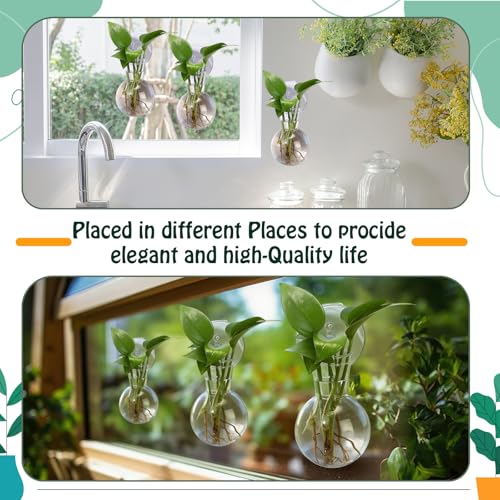 12 Pack Window Propagation Stations Plastic Wall Hanging Planter with Suction Cups Brush Window Suction Plant Holder Vases Tubes Terrarium for Home Office Decor (Bulb)