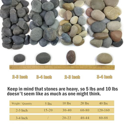 FANTIAN 40 lbs Garden Rocks Mexican Beach Pebbles, 3-4 Inch Decorative Large River Rocks for Landscaping Aquarium Yard Garden Paving Large Plant Crafting and Walkways | Natural Beach Pebbles, Decorative Stones for Landscaping, Aquarium, Yard, Garde, Plant