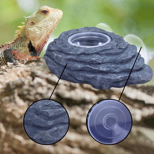 AIICIOO Crested Gecko Feeder Ledge Single Bowl Reptile Food Dish with 3PCS Reptile Feeding Cup Pet Water Dish for Bearded Dragon Snake Frog Tortoise Lizard Chameleon - size: Single Bowl Feeding Ledge
