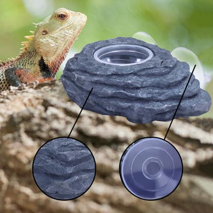AIICIOO Crested Gecko Feeder Ledge Single Bowl Reptile Food Dish with 3PCS Reptile Feeding Cup Pet Water Dish for Bearded Dragon Snake Frog Tortoise Lizard Chameleon - size: Single Bowl Feeding Ledge