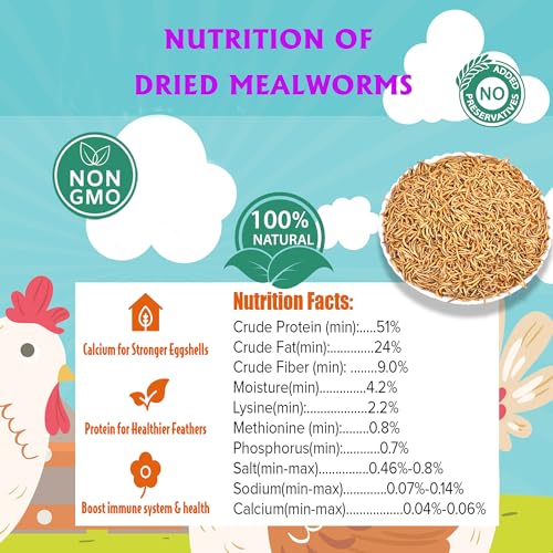 Dried Mealworms 10LB Meal Worms for Chicken Ducks and Wild Birds | Pure Natural Non-GMO High Protein Chicken Feed