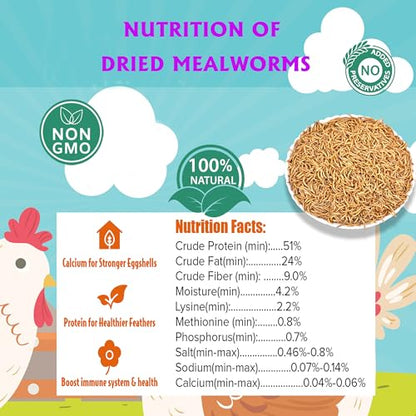 Dried Mealworms 10LB Meal Worms for Chicken Ducks and Wild Birds | Pure Natural Non-GMO High Protein Chicken Feed