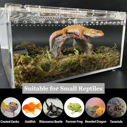 Reptile Terrarium Kit Small Gecko Tank Tarantula Isopods Insect Enclosure | Hermit Crab Tank,Acrylic,Box Packaging,with Moss Bottle Stands Tweezer Thermometer Hideout Food Bowl,for Frog Scorpion