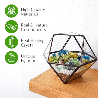 Creations by Nathalie DIY Geometric Glass Terrarium Kit with Live Plant | DIY geometric glass terrarium kit with live plant, moss, and tools for creating indoor terrarium displays with your plants. - color: Dodecahedron Black Frame