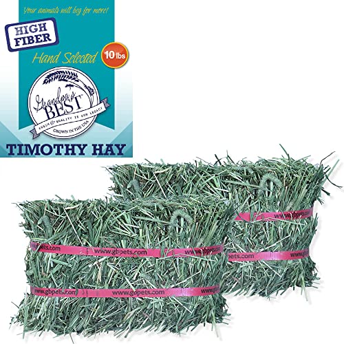 Grandpa's Best Timothy Hay Mini Bale, 10 Lbs (Packaging may vary),Brown - size: 160 Ounce (Pack of 1)