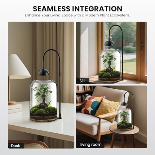 Glass Plant Terrarium, LED Grow Light, Adjustable Ventilation | 8.2" borosilicate body, US plug adapter and guide, for Venus fly traps, moss and succulents, plants and soil not included