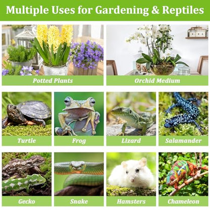 3.5OZ Natural Sphagnum Moss for Reptile Terrarium Substrate Bedding | 4QT High Expansion, Moisture Retention, Helps Shedding, Long Fibers Dried Moss for Leopard Gecko, Snake, Frog, Turtle - size: 3.5 OZ