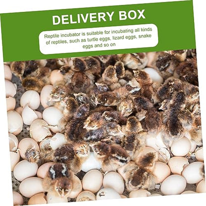 Toddmomy 2pcs Lizard Incubator Reptile Hatchery Box for Hatching and Lizards Lightweight Design Easy to Clean and Manage for All Reptile Eggs