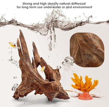Jorewood Natural Large Aquarium Driftwood for Fish Tanks & Reptile Terrariums – 100% Safe Fish Tank Decorations, 2-Piece 10-14 Inch Unique Twisted Branches Low Tannin, Easy to Sink - size: Mopani Driftwood 10 to 14 Inch (Pack of 2)