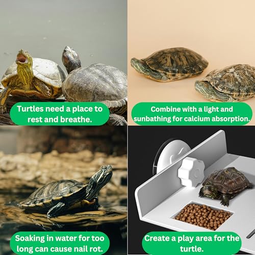 Turtle Basking Platform and Training Skateboard Set for Aquatic Turtles with Suction Cups Skateboard, Tortoise Tank Habitat Accessories, Reptile Animal Essentials (Transparent)