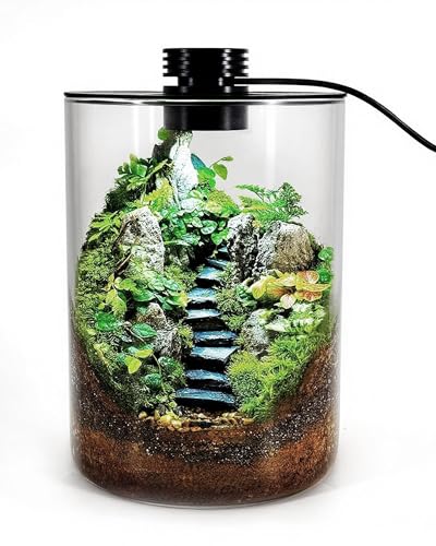 Desktop Glass Terrarium with Grow Light (7.5" H x 5.9" D) - for Succulents, Moss, Mini Gardens, Betta Fish Tanks, Mushroom Cultivation | Indoor Plant Growth | Office/Home Decor | Plant Lover Gifts - size: 7.5”