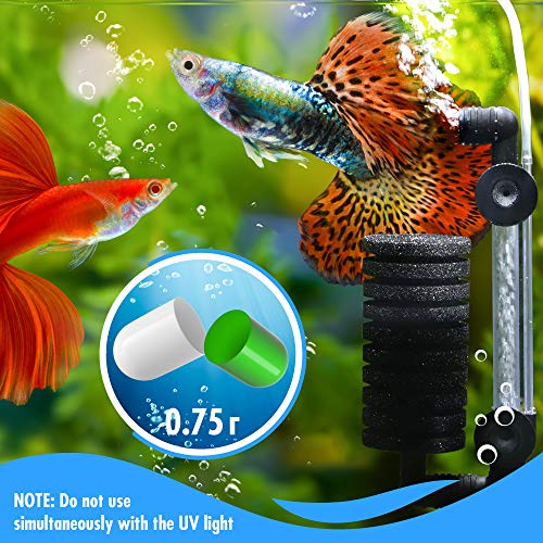 BESEDER Biocapsules Fish Tank Water Cleaner, Biostarter, 10-Capsule Pack Provides Up to 6 Months of Water Care for 20-25 Gallon Freshwater & Sea Aquariums, Helps Break Down Inanimate Organic Waste - size: FTWC