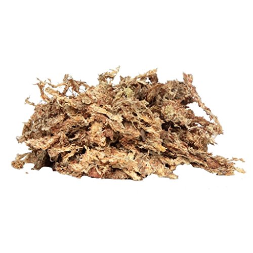 Peruvian Moss: Organic Sphagnum Moss for Orchids, Succulents, Indoor Plants & Reptile Substrate - 1 Kilo