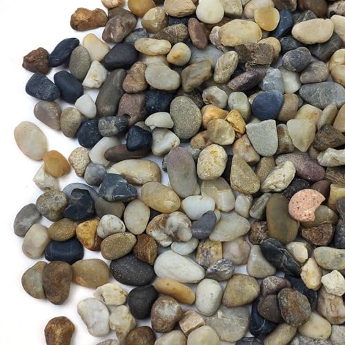 10LB Decorative River Rocks Gravel -2/5/'' Mixed Color Gravel for Vase Filling, Flower Pot Paving. Gravel for Garden Decoration,Landscaping,Aquarium Aquascape Gravel, Fish Tanks Gravel. - size: 10LB, style: 8-12MM
