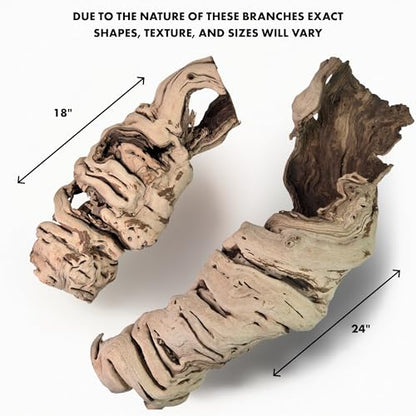 Koyal Wholesale 24" Hollow Grapewood Branch Decor 1Pcs Grapewood Centerpiece Vase Air Plants Sand Blasted Grapevine Wood Untreated Terrarium Wood Driftwood Decor - size: 24 Inches