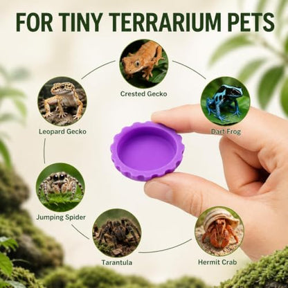 Meow&Woof Reusable Silicone Reptile Feeding Cups – Bearded Dragon Water Bowl & Crested Gecko Food Dish, Habitat Tank Starter Kit Accessories for Turtle, Snake, Hermit Crab- 6 Pcs - color: 6pcs