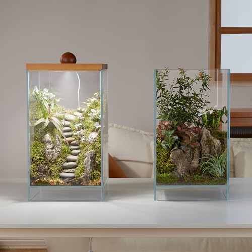 Large Glass Plant Terrarium: 13.7H+7.8W Terrarium with Light | Desktop Propagation Station for Succulent/Moss/Miniature Gardening Landscape/Betta Fish Tank