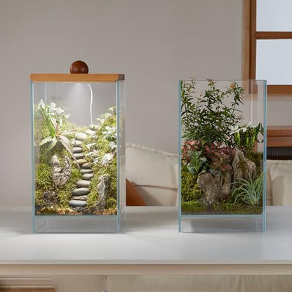 Large Glass Plant Terrarium: 13.7H+7.8W Terrarium with Light | Desktop Propagation Station for Succulent/Moss/Miniature Gardening Landscape/Betta Fish Tank