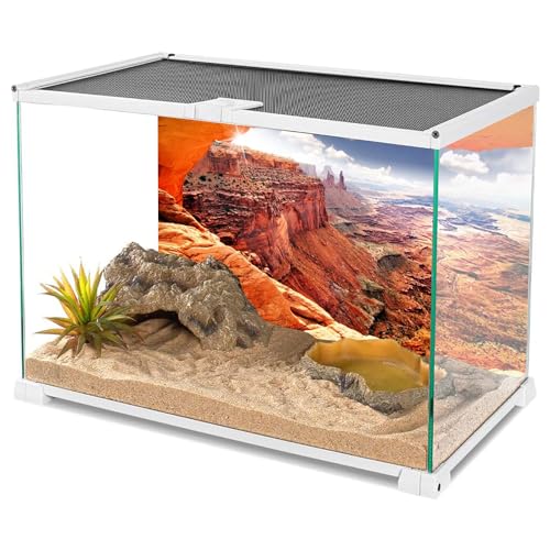 24x12 in Terrarium Backdrop Desert Canyon Stone Reptile Habitat Background | AWERT Sky Sun Mountain Canyon View Polyester Terrarium Background - size: 24x12in/60x30cm