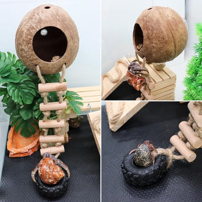 Hermit Crab Climbing Toy, Natural Coconut Reptile Hideout with Ladder, Hanging Coconut Reptile House, Cage or Tank Cave Habitat Accessories, Suitable for Gecko Snake Lizard Chameleon Hermit Crab