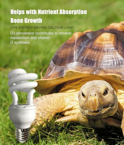2 Pack E26 5.0 UVA UVB Reptile Light Bulb 13W | UVB Light Tropical Compact Fluorescent Terrarium Lamp for Chameleon Iguana Turtle Gecko Frog Snake - size: 13W UVB 5.0