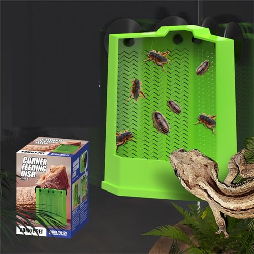 Suction Cup Reptiles Feeder ABS Corner Feeding Dish for Bearded Dragons Lizards Terrariums Feeding Station - size: Small