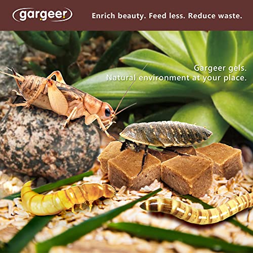 Gargeer 8oz Bugs & Insects Gel. for Roaches, Crickets & Worms, Made in USA | Expert-crafted, filler-free gourmet nutrition for thriving insects. Because a healthier bug means a healthier pet! - size: 8 Ounce (Pack of 1)