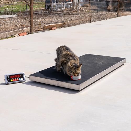 PEC Livestock Animal Scale/Farm Animal Scales for Weighing Small to Medium Sized Animals, Lamb, Goat, Sheep, Pigs, hogs, Donkey, Calf, Digital Indicator Included, Capacity 700lbs (38″ x 20″) - style: 38"x 20"