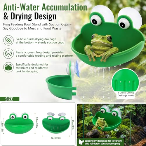 Frog Tank Accessories Set – Complete Tree Frog Habitat Kit with Hideout Cave, Water Dish, Feeding Bowl, Suction Cup Plants & Climbing Decor | Toad Terrarium Supplies for Amphibians