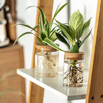Glass Plant Propagation Station Set of 6, Modern Desktop Flower Vase for Succulent Cuttings, Home Office Decoration, Ideal Housewarming Gift for Living Room, Bedroom