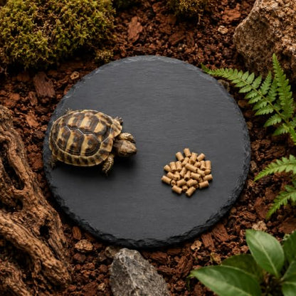 Reptile Basking Platform 5.9 X 5.9 Inch Slate Tortoise Rock Plat | Food Bowl Feeding Dish Tortoise Bathing Resting Terrace Habitat Decor for Turtle Lizard Bearded Dragon Crested Gecko Snake