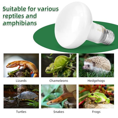 DaToo Reptile Heat Lamp 100W Amphibians Basking Light Bulb UVA Heat Lamp Bulbs Daylight Basking Spot Light for Lizards Bearded Dragon Turtles Snakes Chickens Pet Brooder (2 Pack)