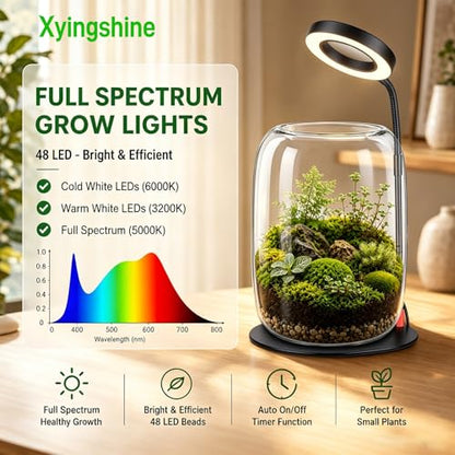 Desk Grow Light with Glass Terrarium, 5X Aperture | Full-spectrum LED, 3 modes, 10 brightness levels, USB power, 28-43 cm pole, 90° rotating head, for moss and succulents - size: 5X magnification