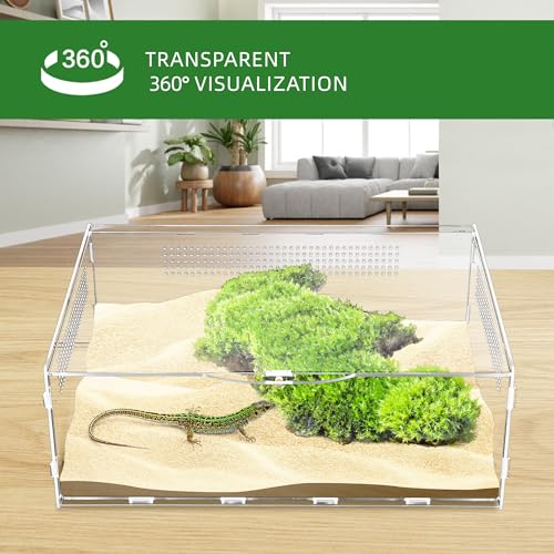 Micro Habitat Terrarium Enclosure, 6x11x16 inch Jumping Spider Enclosure with Locking Latch for Small Tree Dwelling Reptiles,Tarantula, Amphibians, Spiders,Invertebrates
