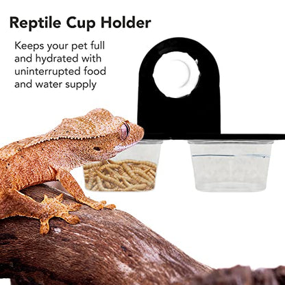 Crested Gecko Dual Feeding Ledge, Space Saving, Maximizes Floor Area, Feed Betta Fish Bloodworm, Window Bird Feeder, 20 Reusable Transparent Food and Water Cups