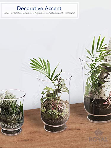 Royal Imports Hurricane Pillar Candle Holder, Clear Glass Flower Vase, Terrarium Planter, Decorative Centerpiece - Use for Floating Tealights, Wedding, Home Display, Holiday - 3 Pc Set, 6", 8" 10"