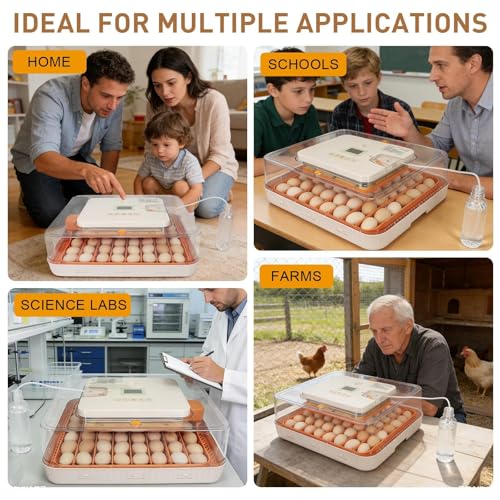 Nest IV - 56 Egg Incubator for Breeders, Fully Automated, Accurate Humidity & Temp Control, Chick Separator, Flexible Egg Spacing, Custom Incubation Days, Auto Turning & Auto Stop, Easy Monitoring - size: 56 Egg [Gray]